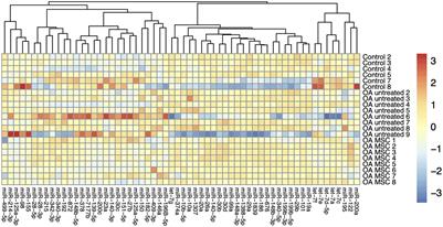 Intraarticular treatment with integrin α10β1-selected mesenchymal stem cells affects microRNA expression in experimental post-traumatic osteoarthritis in horses